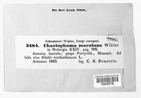 Image Associated With the Occurence